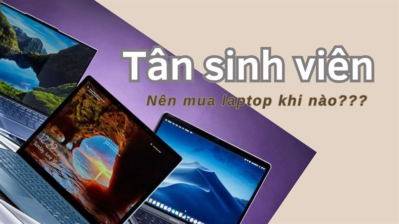 Tân sinh viên, Thương mại điện tử TLU