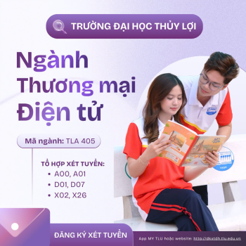 Review ngành Thương mại điện tử TLU: Học gì? Ra trường làm gì?